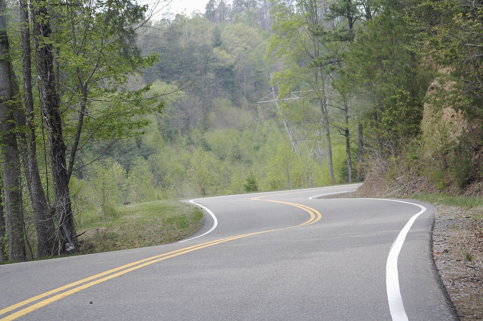 US 129 in the spring woods — a road with no straights